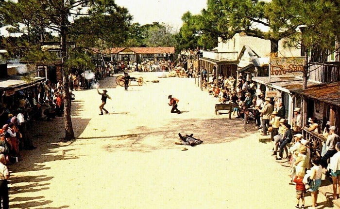 Floridaland - Vintage Postcard